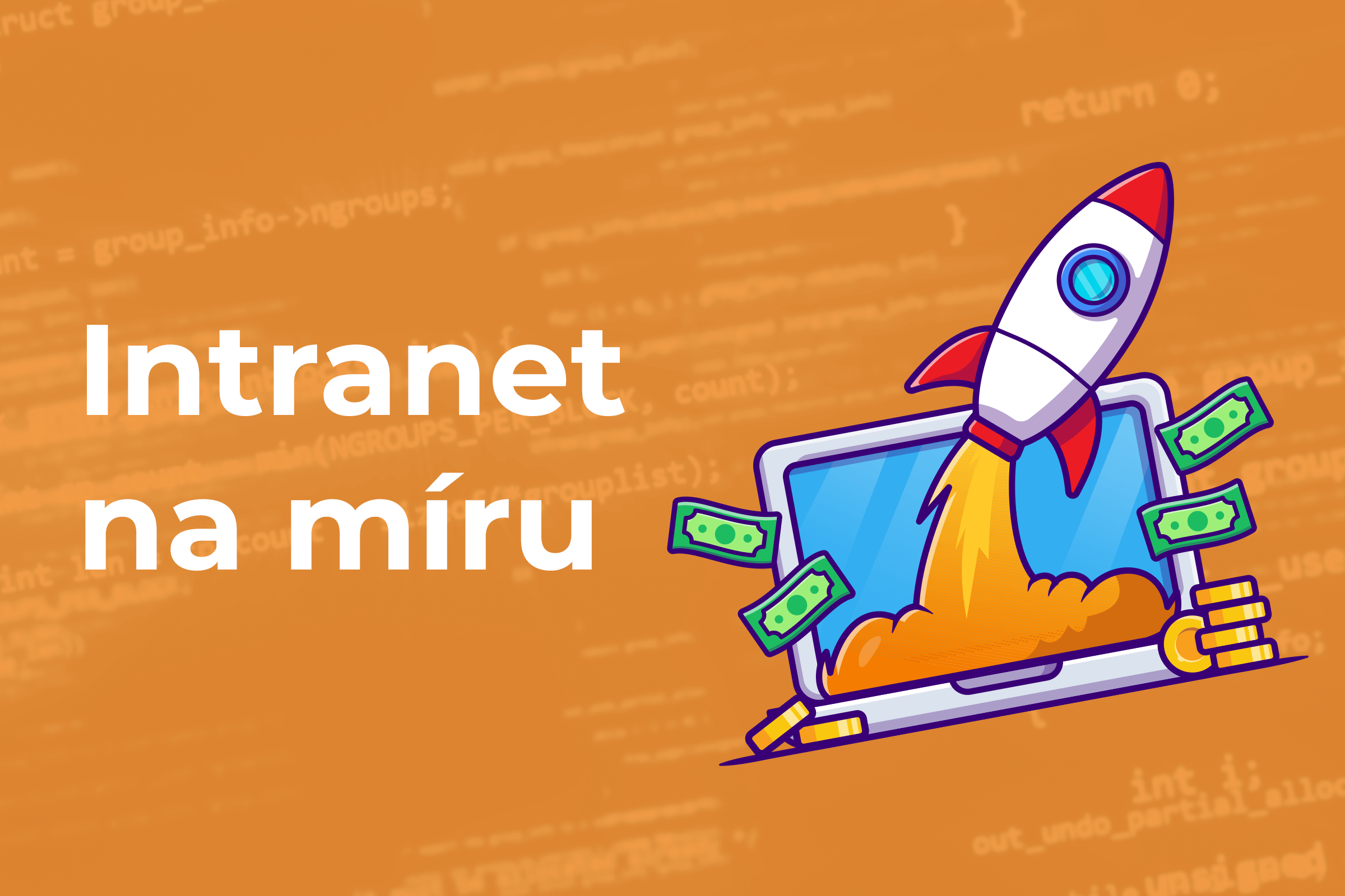 Vývoj intranetu na míru
